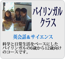 Bilingual Course Info
