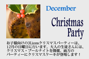 3Lions Christmas Party Button