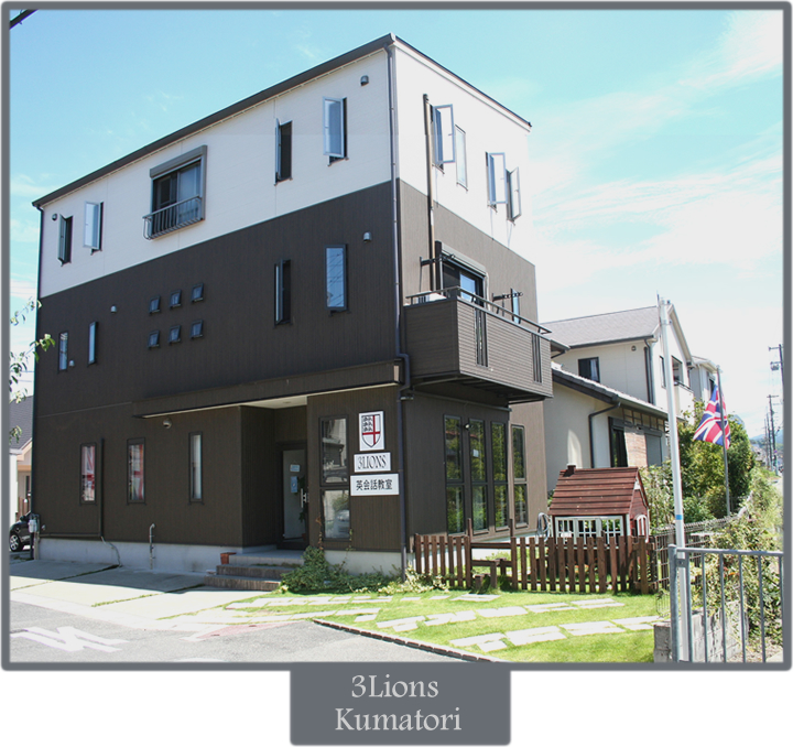 3 Lions School Photos