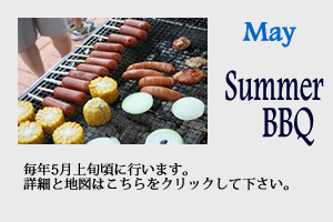 3Lions Summer BBQ Button